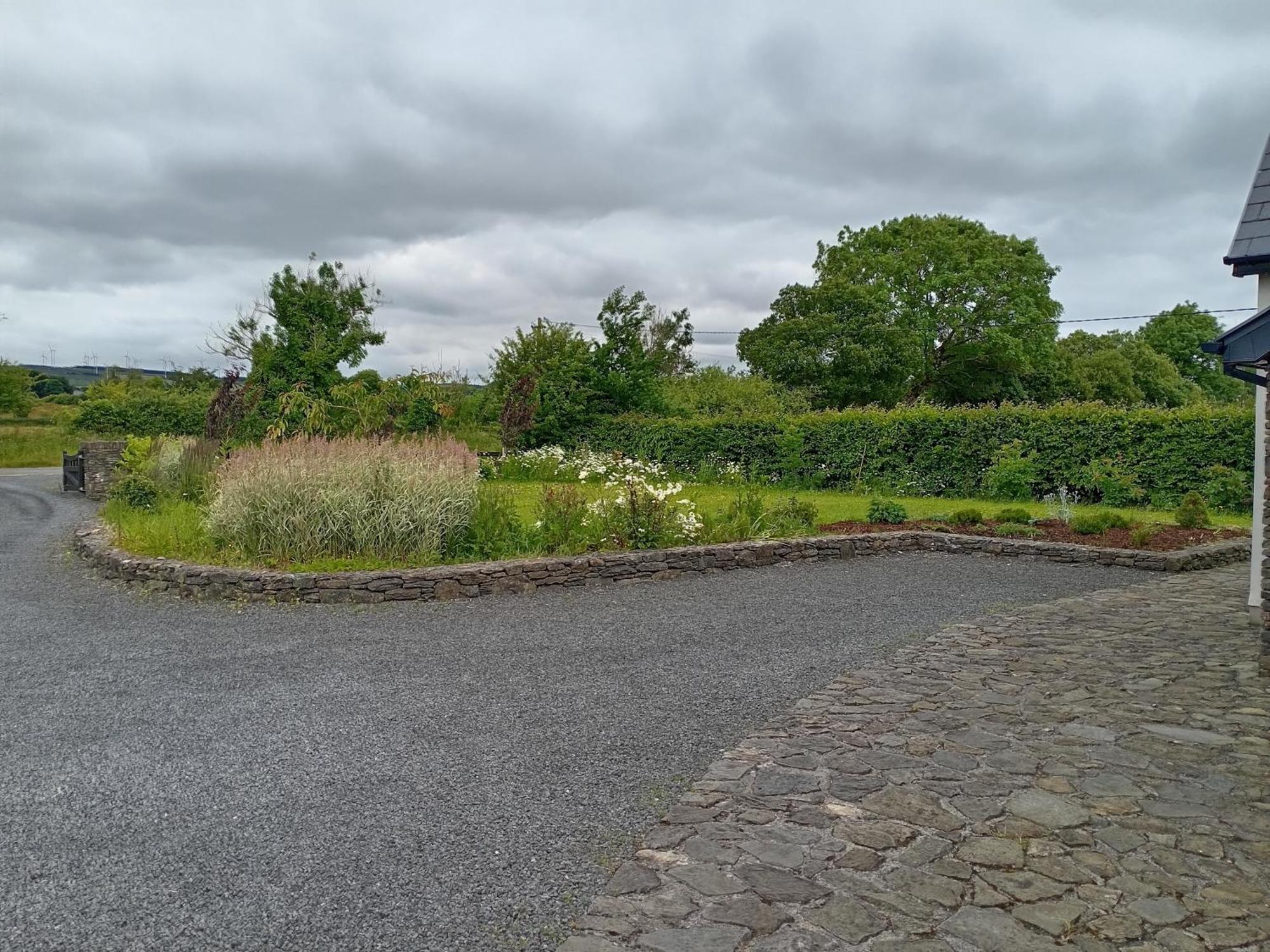 Conveniently Located House To Enjoy All Of Kerry Tralee Extérieur photo